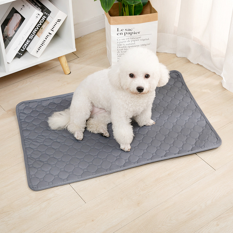 Tappetino Riutilizzabile Assor - Mattress Protector Waterproof recensione e prezzo