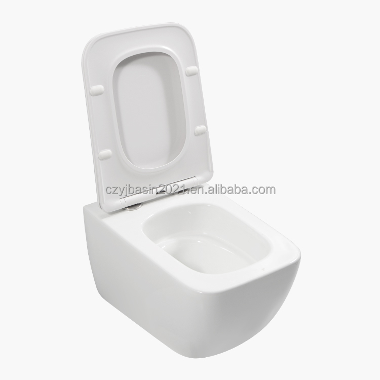 WC, Set WC Standard in Ceramic - P & C Home Textiles Usa recensione e prezzo