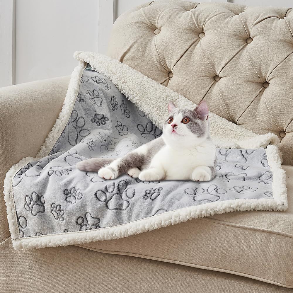 Coperta per Animali Domestici  - Mattress Protector Waterproof recensione e prezzo